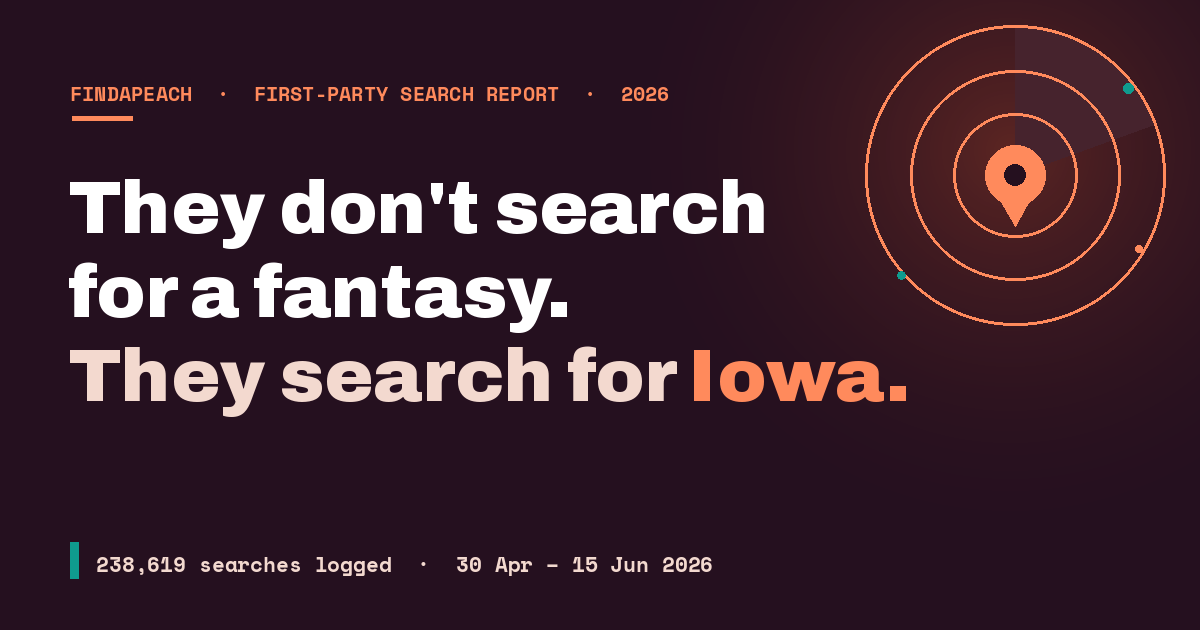 What 238,619 Searches Reveal About How People Find OnlyFans